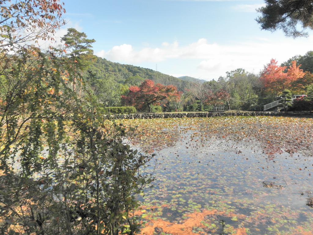 Maple Inagawa Hotel Kawabe  Luaran gambar