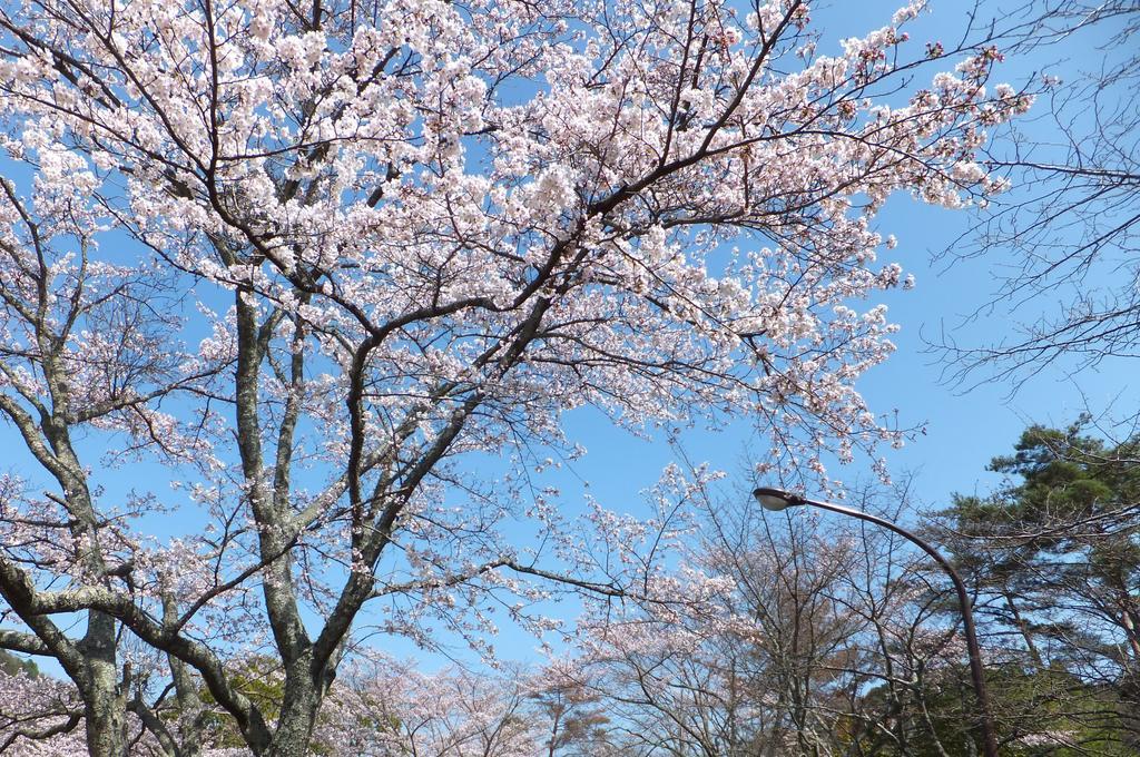 Maple Inagawa Hotel Kawabe  Luaran gambar